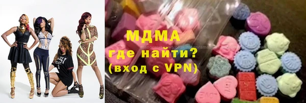 индика Беломорск