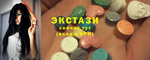 индика Беломорск