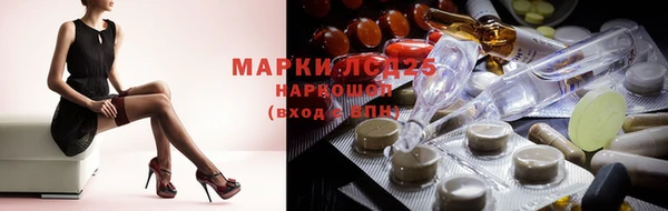 индика Беломорск
