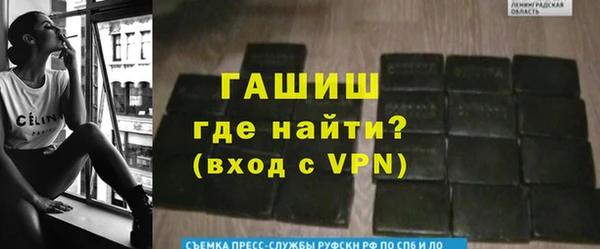 индика Беломорск