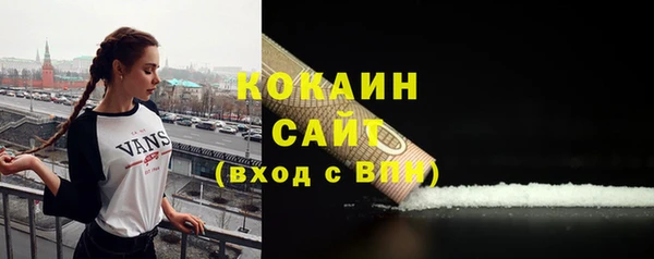 прущие грибы Белоозёрский