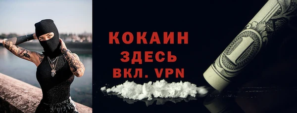 прущие грибы Белоозёрский