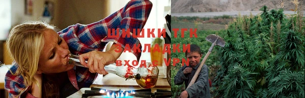 спиды Белокуриха