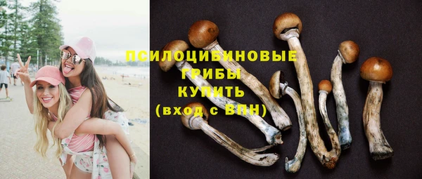 спиды Белокуриха