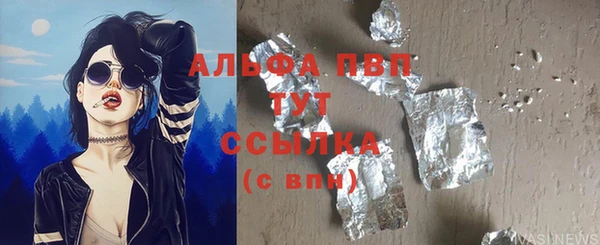 прущие грибы Белоозёрский