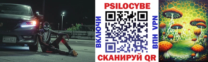 Псилоцибиновые грибы прущие грибы  Чегем 